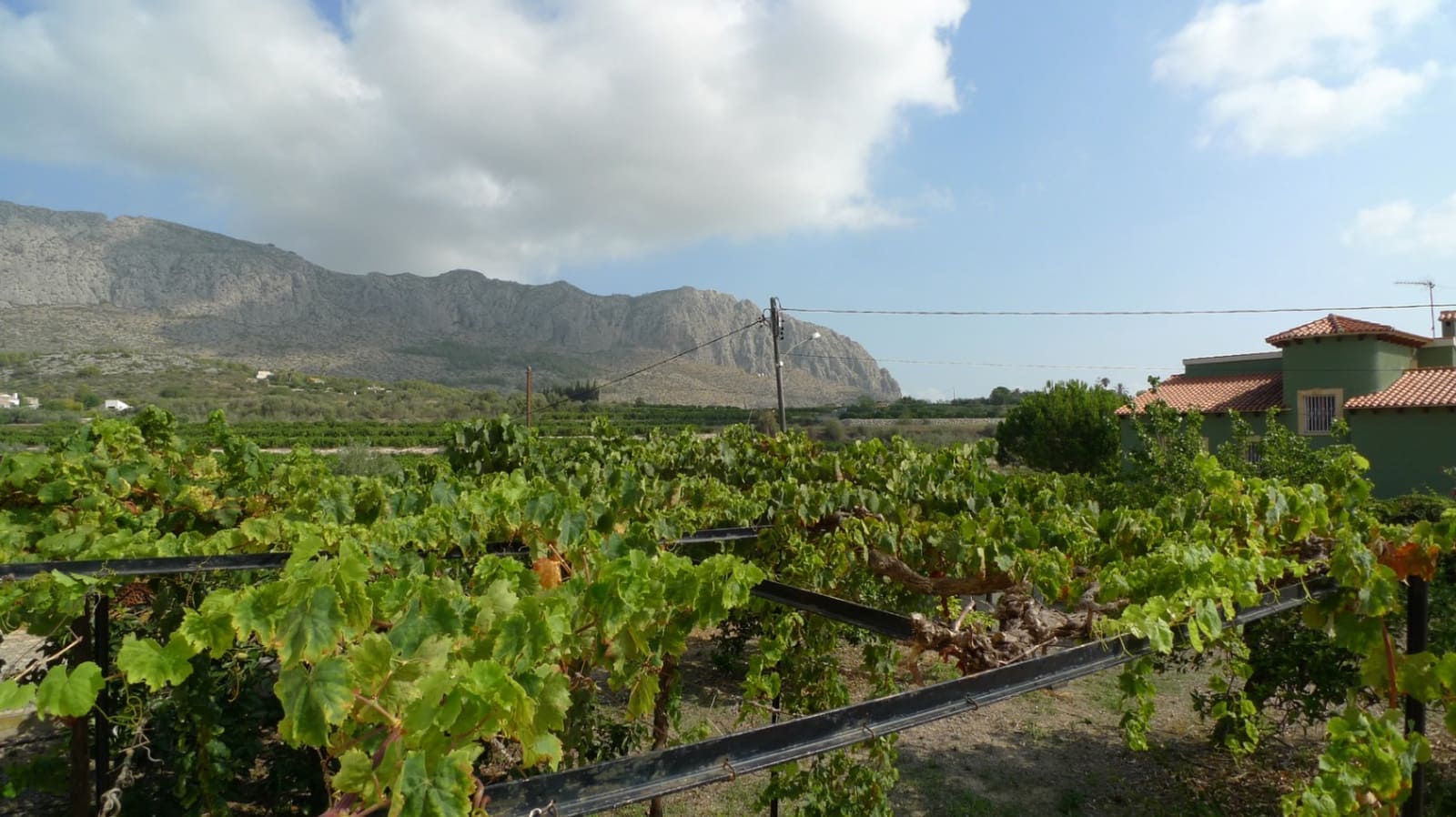 4 slaapkamer Finca/Landhuis te koop in Beniarbeig met zwembad - € 495.000 (Ref: 8813750)