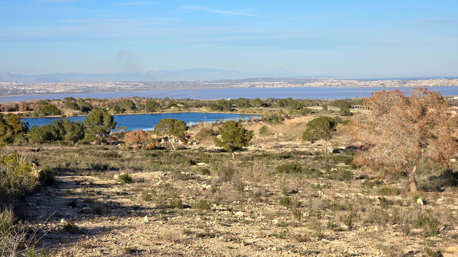   2 soveværelse   ferieLejlighed i Villamartin   med   swimmingpool  garage  - € 375 (Ref: 8840227)