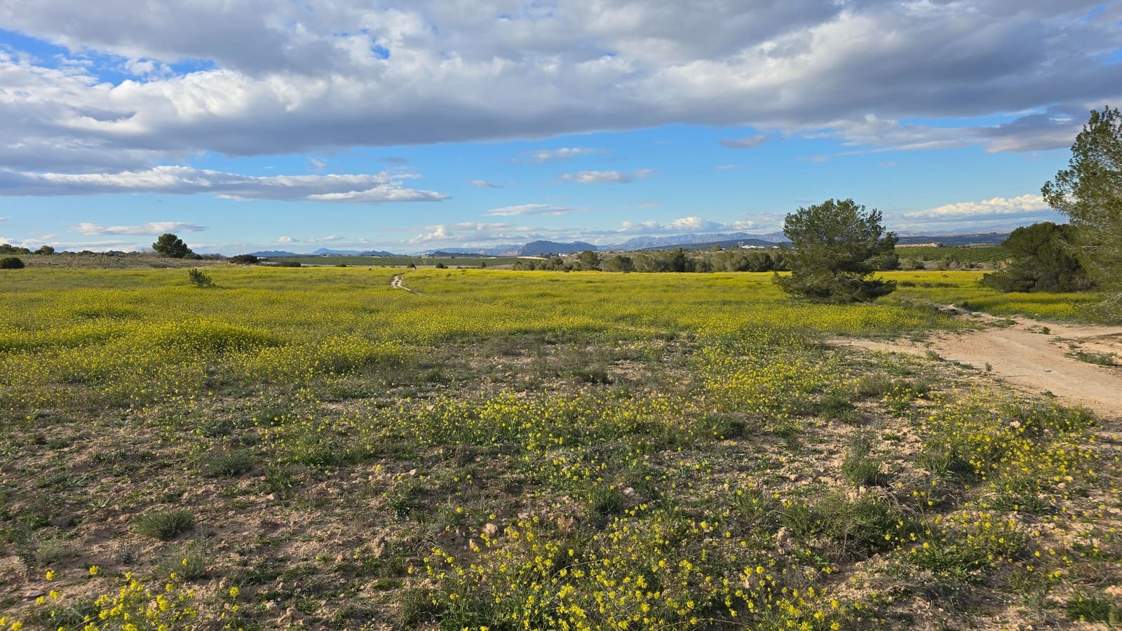   2 soveværelse   ferieLejlighed i Villamartin   med   swimmingpool  garage  - € 375 (Ref: 8840227)