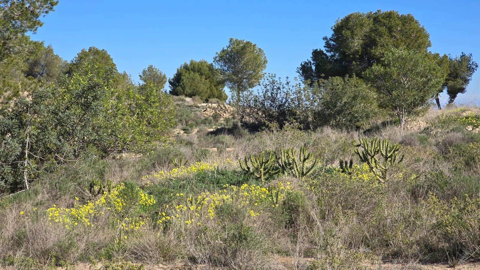   2 soveværelse   ferieLejlighed i Villamartin   med   swimmingpool  garage  - € 375 (Ref: 8840227)