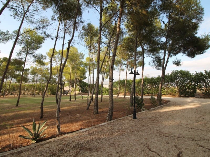 7 bedroom Villa for sale in Aspe - € 500,000 (Ref: 9094794)