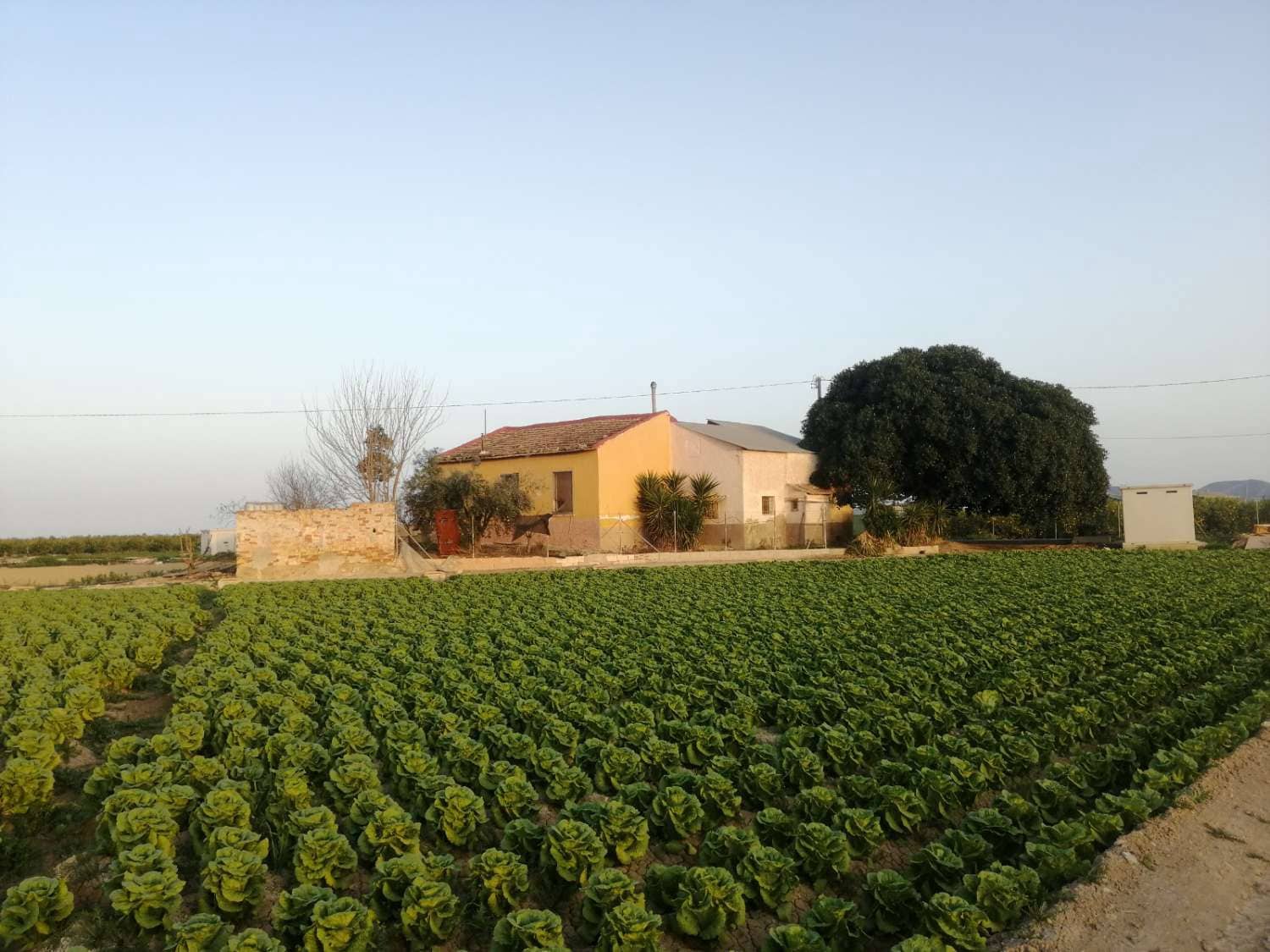 Chalet de 3 habitaciones en Orihuela Costa en venta - 175.000 € (Ref: 9690448)