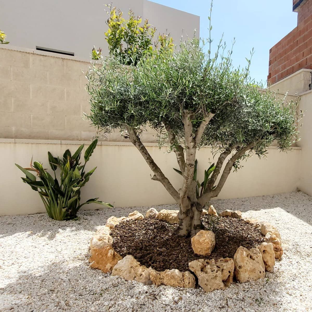 3 slaapkamer Villa voor vakantieverhuur in Benijofar met zwembad garage - € 980 (Ref: 9771855)