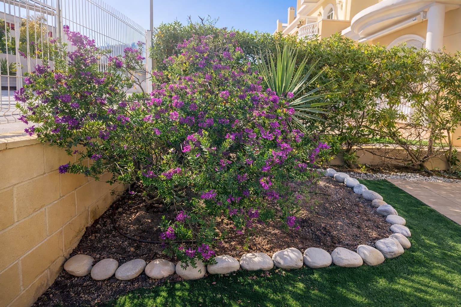 3 bedroom Villa for holiday rental in San Fulgencio with pool - € 525 (Ref: 9772022)