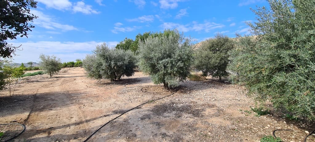 3 sypialnia Willa na sprzedaż w Orihuela Costa - 1 150 000 € (Ref: 9826516)