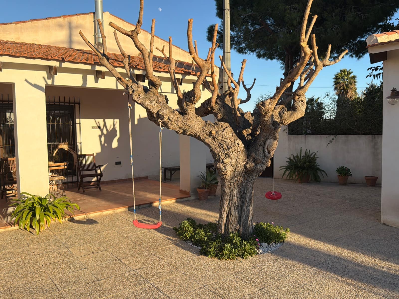 Chalet de 3 habitaciones en Dolores en venta - 397.000 € (Ref: 9826555)