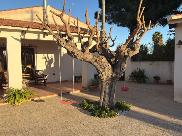 Chalet de 3 habitaciones en Dolores en venta - 397.000 € (Ref: 9826555)