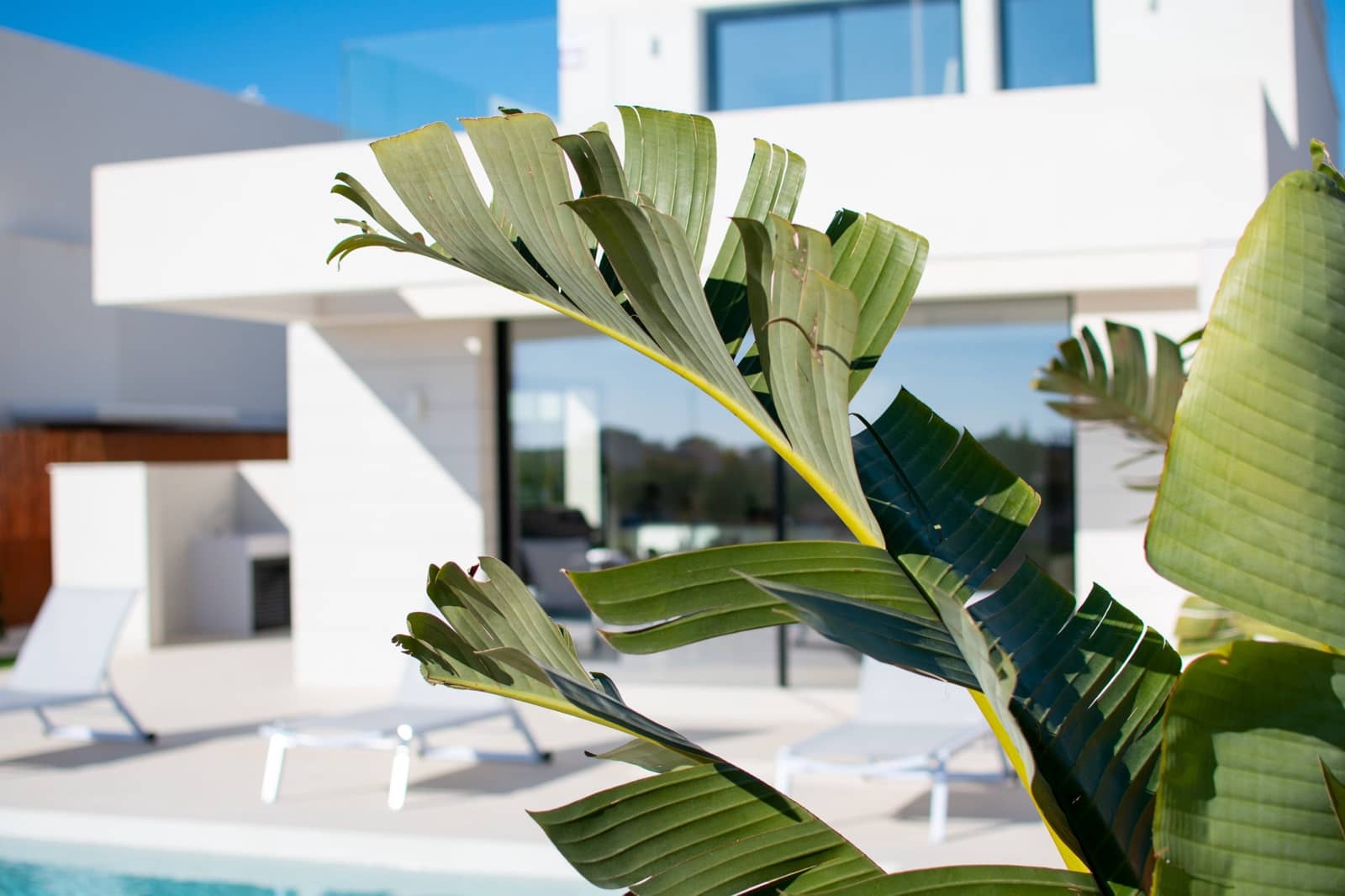3 bedroom Villa for sale in Los Montesinos - € 499,000 (Ref: 9874405)