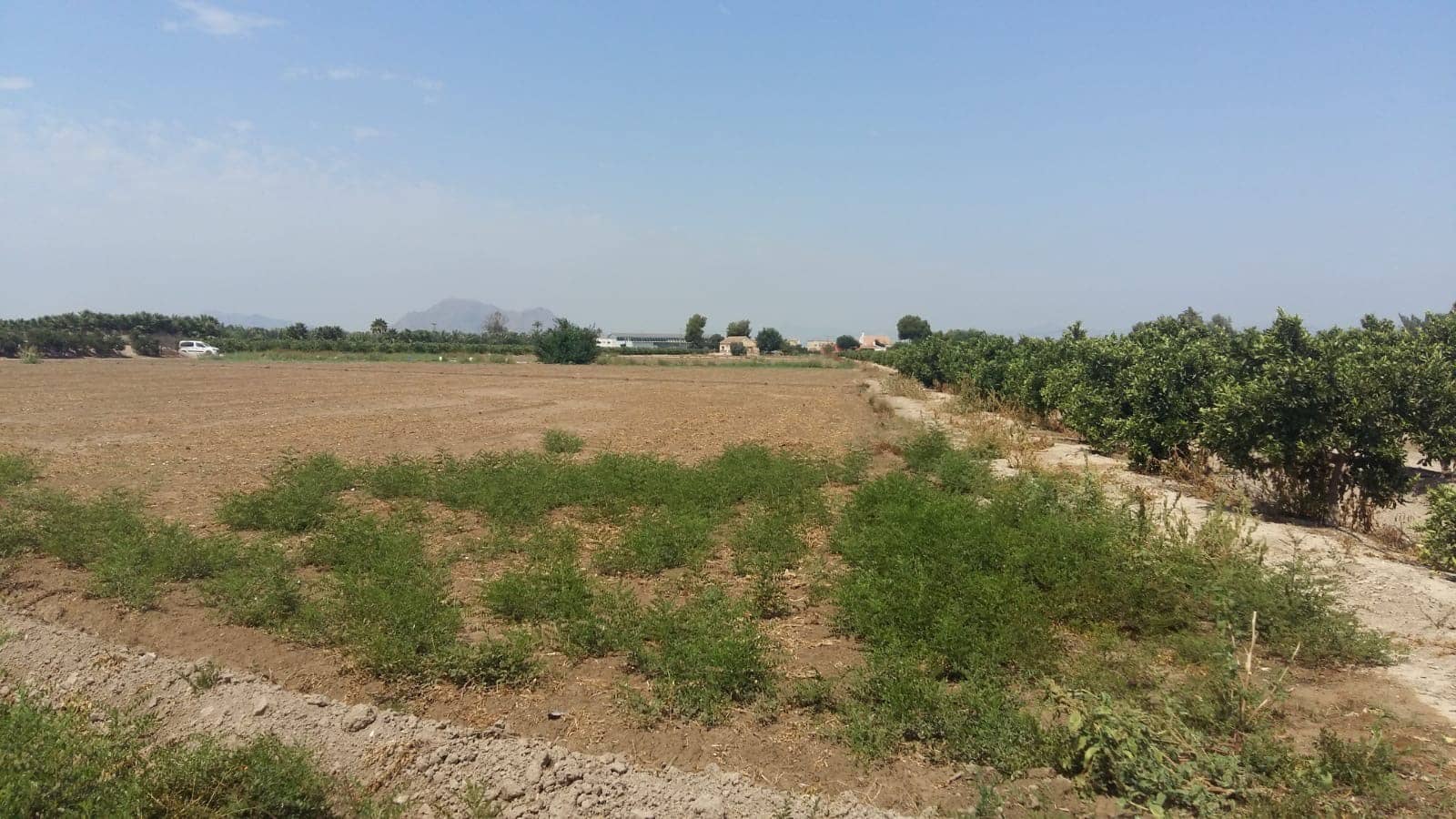 3 bedroom Finca/Country House for sale in Daya Nueva - € 347,000 (Ref: 9874406)
