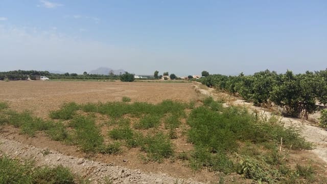 Finca/Casa Rural de 3 habitaciones en Daya Nueva en venta - 347.000 € (Ref: 9874406)