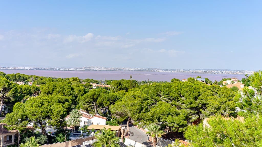6 sovrum Villa till salu i Torrevieja med pool - 890 000 € (Ref: 9930422)