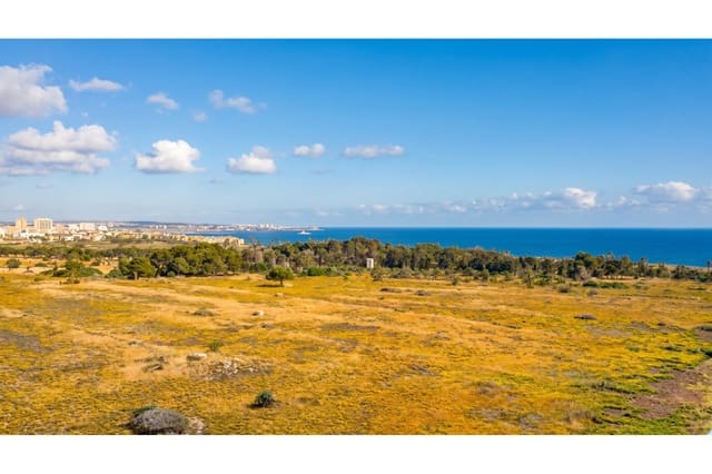 2 makuuhuone Kattohuoneisto myytävänä paikassa Punta Prima, Orihuela mukana uima-altaan - 210 000 € (Ref: 9930474)