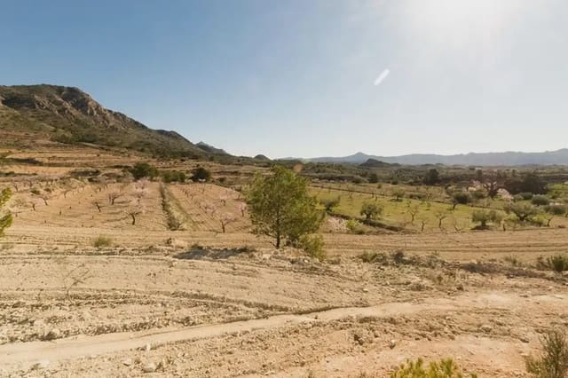 Building Plot for sale in Barinas, Abanilla - € 114,000 (Ref: 9922751)