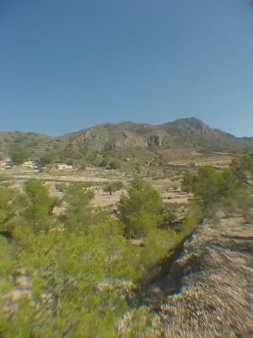 Building Plot for sale in Barinas, Abanilla - € 114,000 (Ref: 9922751)