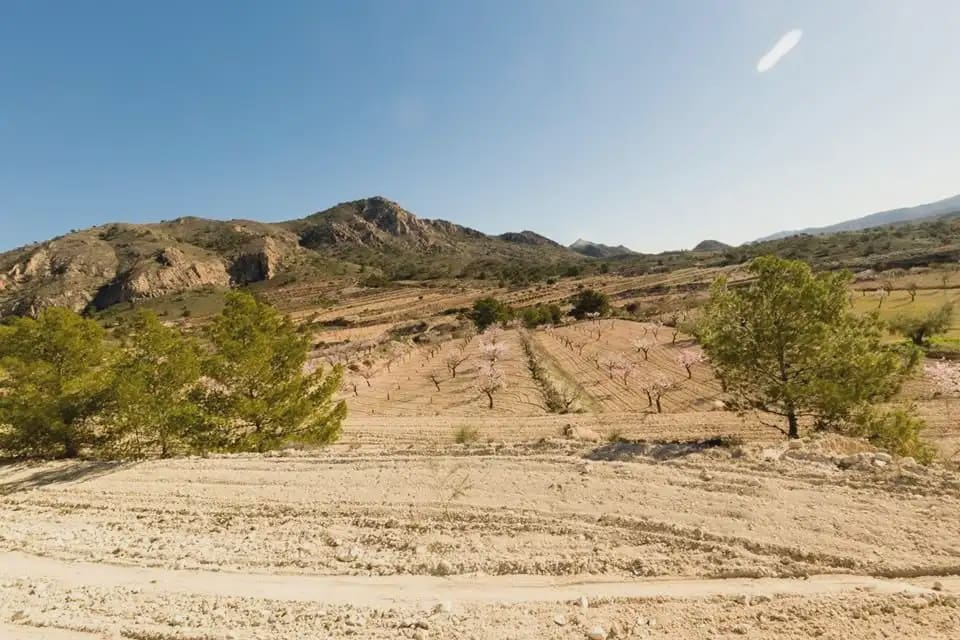 Building Plot for sale in Barinas - € 114,000 (Ref: 9922751)