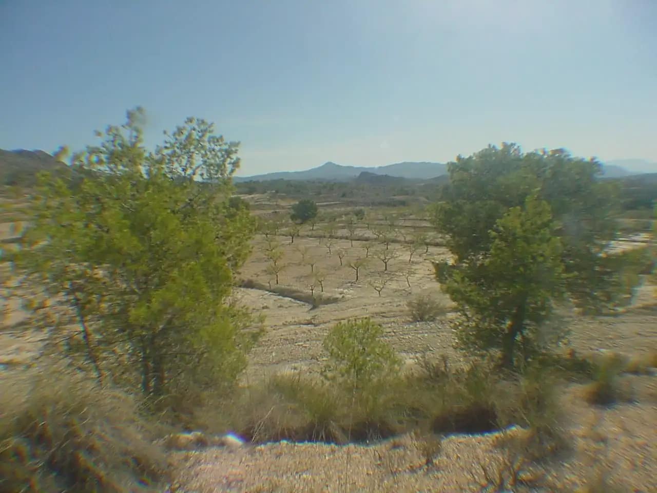 Building Plot for sale in Barinas - € 114,000 (Ref: 9922751)