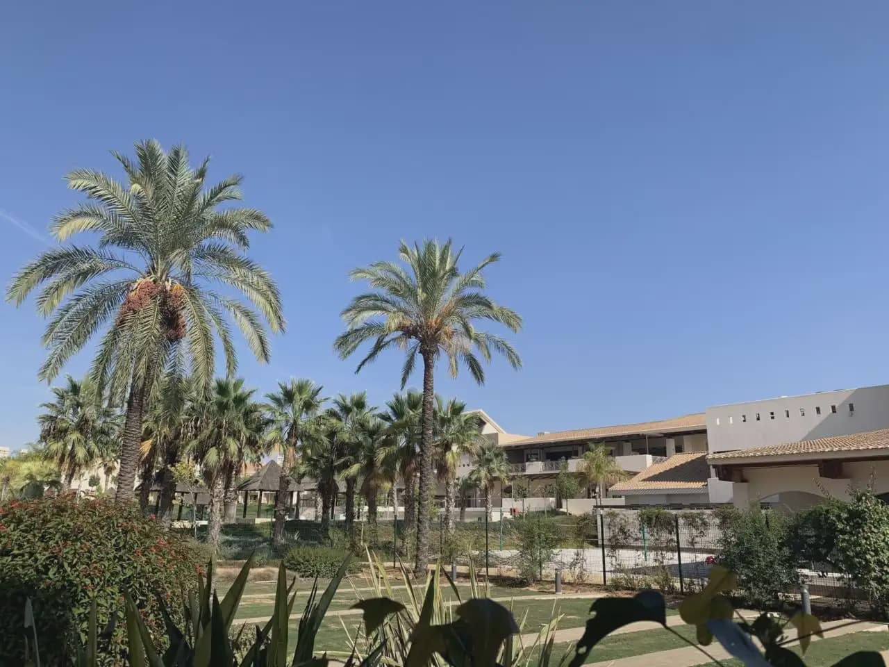 3 bedroom Flat for rent in Hacienda del Alamo with pool - € 1,350 (Ref: 9922771)