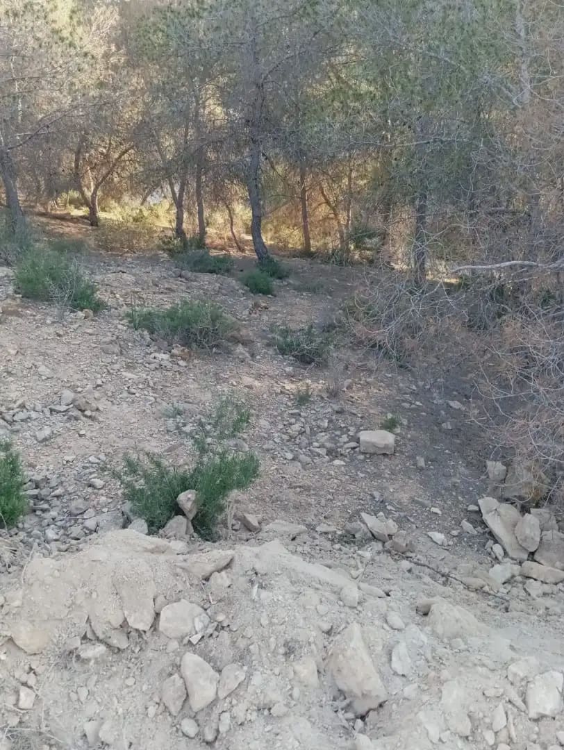 Landgrundstück zu verkaufen in El Esparragal - 35.000 € (Ref: 9922778)