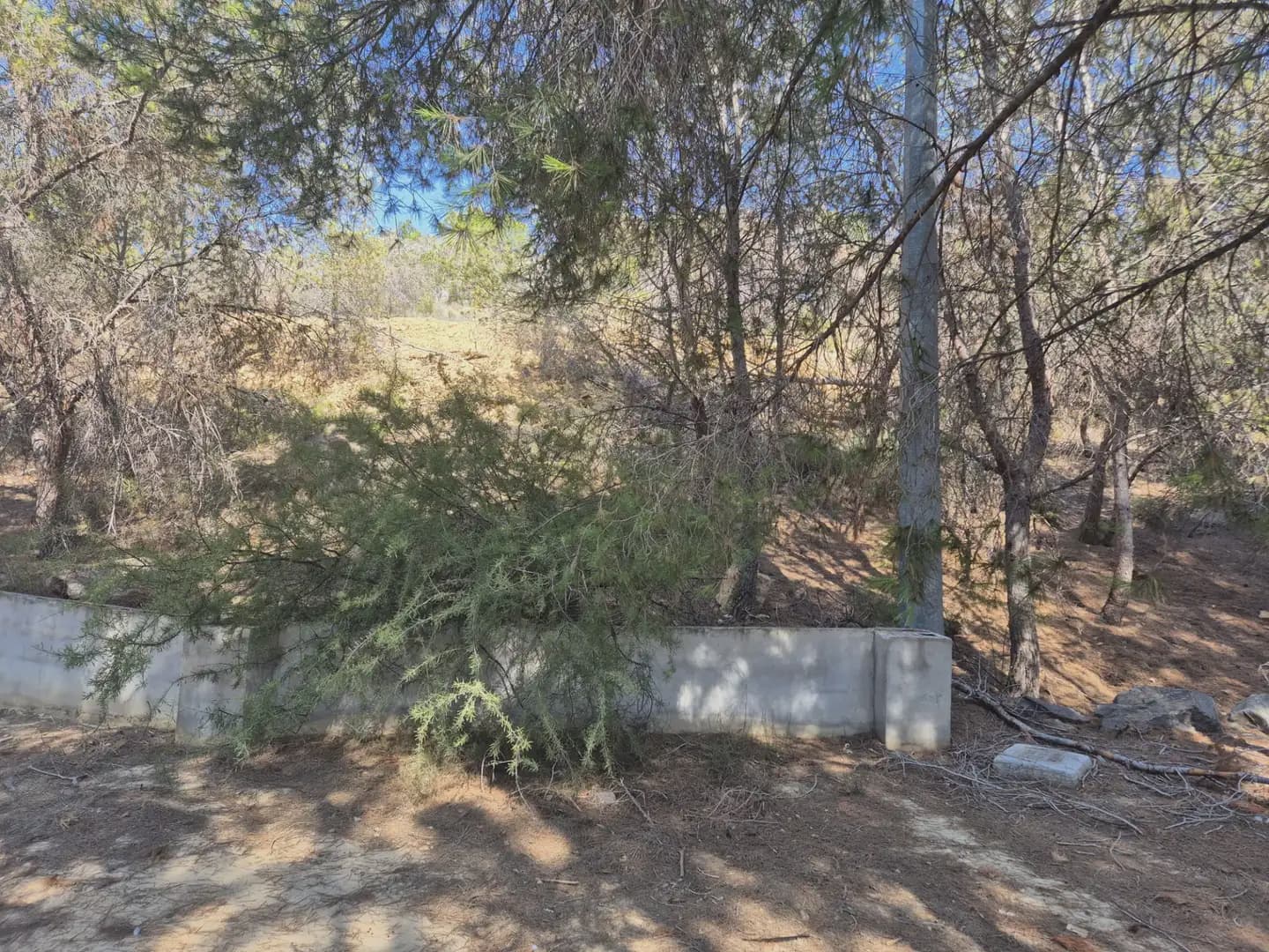 Landgrundstück zu verkaufen in El Esparragal - 35.000 € (Ref: 9922778)