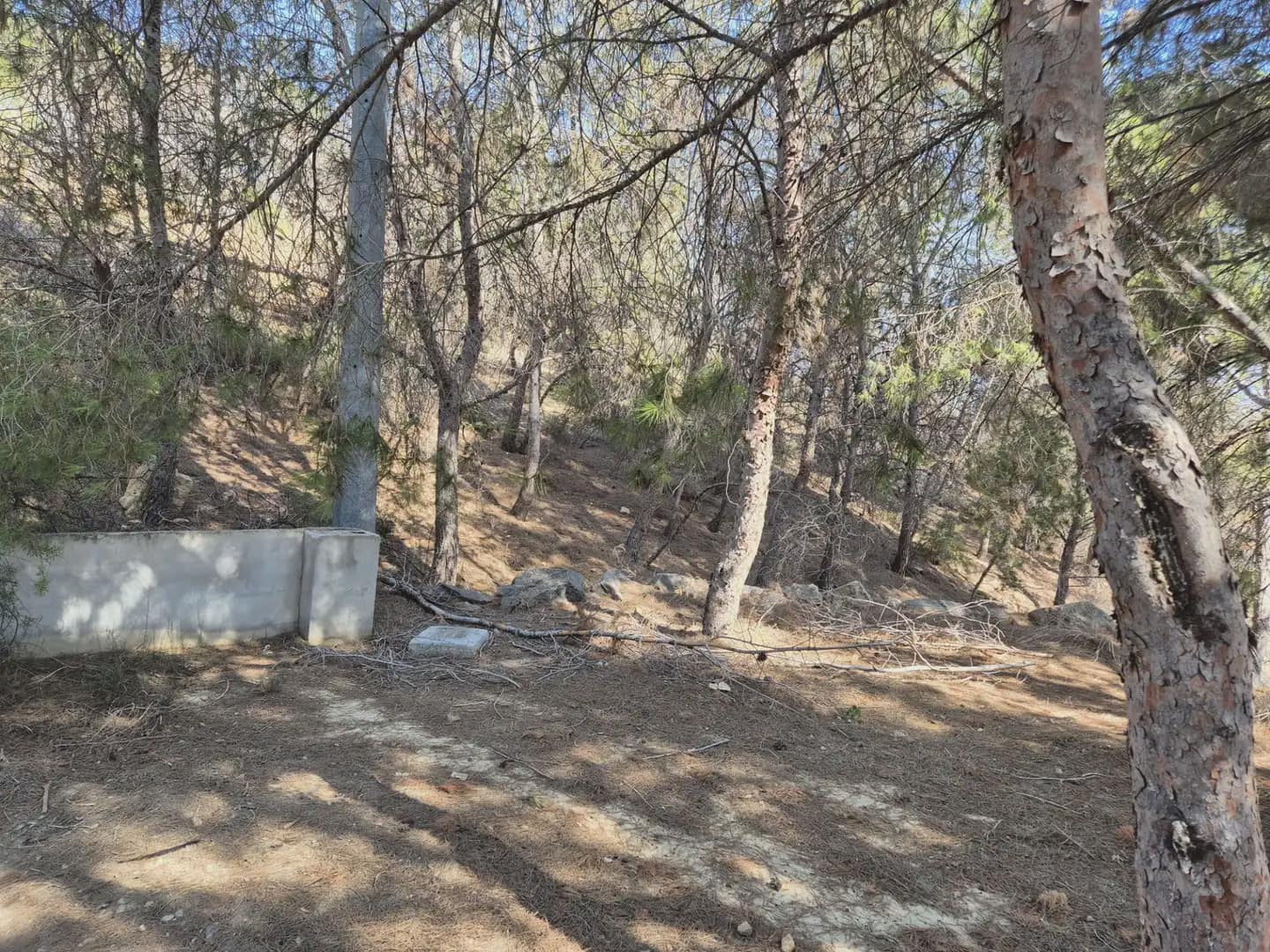 Landgrundstück zu verkaufen in El Esparragal - 35.000 € (Ref: 9922778)