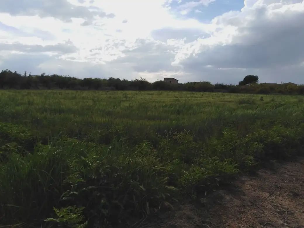 Undeveloped Land for sale in Los Ramos - € 35,000 (Ref: 9922787)