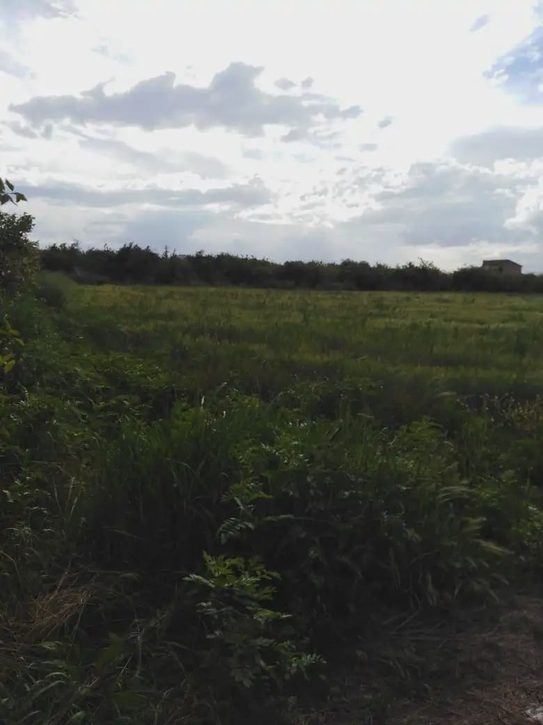 Undeveloped Land for sale in Los Ramos - € 35,000 (Ref: 9922787)