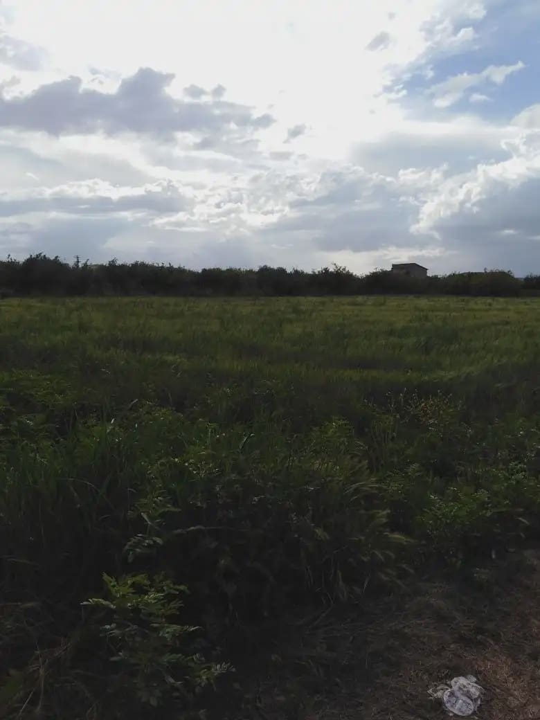 Undeveloped Land for sale in Los Ramos - € 35,000 (Ref: 9922787)