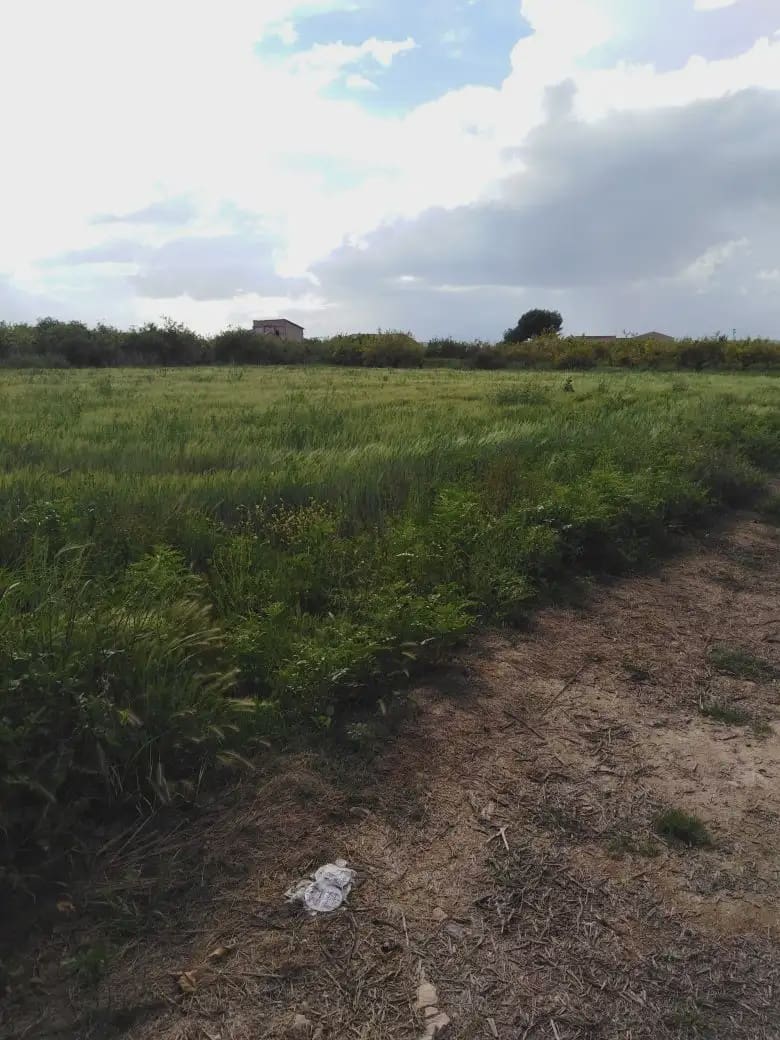 Undeveloped Land for sale in Los Ramos - € 35,000 (Ref: 9922787)