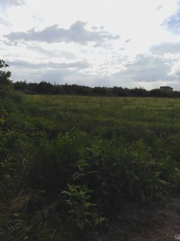 Undeveloped Land for sale in Los Ramos, Murcia city - € 35,000 (Ref: 9922787)