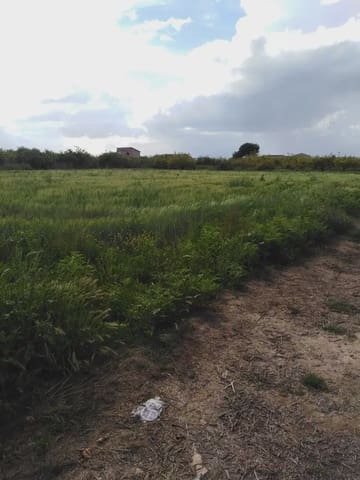 Undeveloped Land for sale in Los Ramos, Murcia city - € 35,000 (Ref: 9922787)