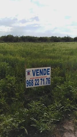 Undeveloped Land for sale in Los Ramos, Murcia city - € 35,000 (Ref: 9922787)