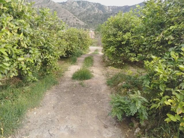 Undeveloped Land for sale in Los Ramos, Murcia city - € 35,000 (Ref: 9922787)