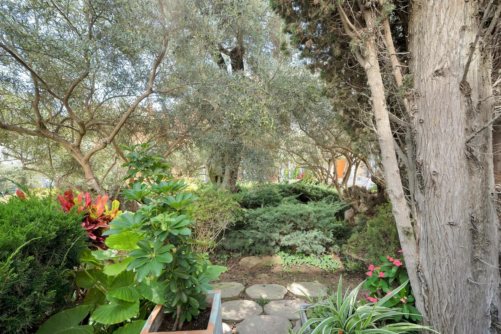 4 bedroom Terraced Villa for sale in Marbella with pool garage - € 2,350,000 (Ref: 10017682)