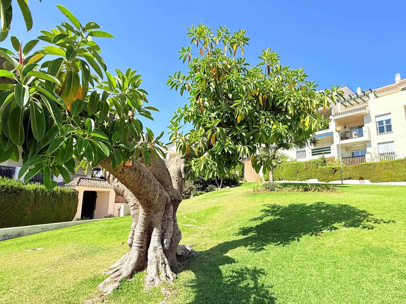2 soverom Leilighet til salgs i Marbella med svømmebasseng - € 385 000 (Ref: 10047522)