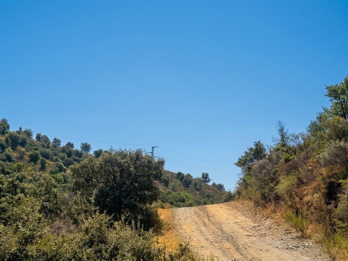 Terreno Não Urbanizado para venda em Monda - 9 950 € (Ref: 10049550)