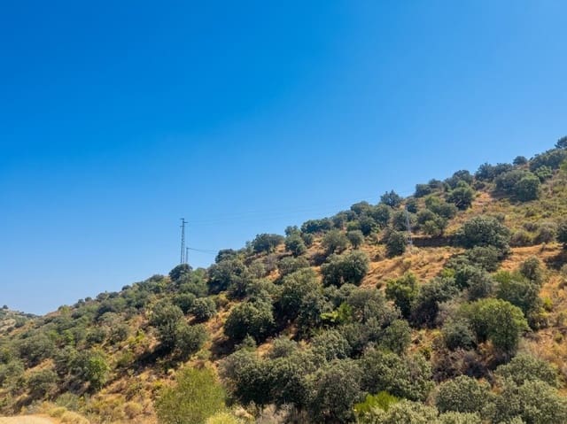 Terreno Não Urbanizado para venda em Monda - 9 950 € (Ref: 10049550)