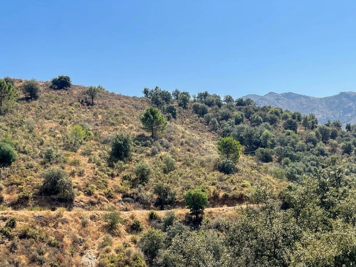 Terreno Não Urbanizado para venda em Monda - 9 950 € (Ref: 10049550)