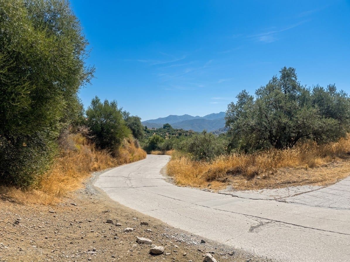 Terreno Não Urbanizado para venda em Monda - 9 950 € (Ref: 10049550)