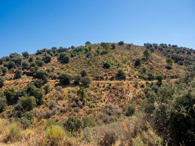 Terreno Não Urbanizado para venda em Monda - 9 950 € (Ref: 10049550)