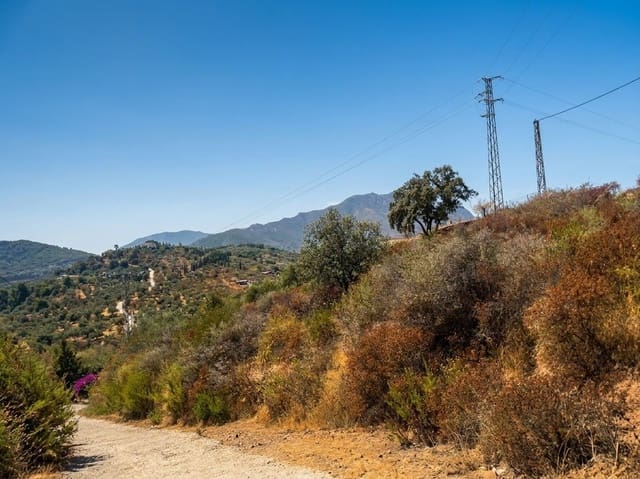 Terreno Não Urbanizado para venda em Monda - 9 950 € (Ref: 10049550)