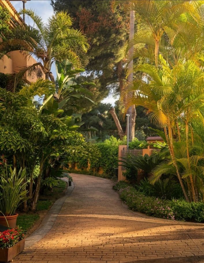 2 soveværelse Lejlighed til leje i Marbella med swimmingpool garage - € 1.800 (Ref: 10076631)