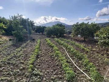 Finca/Casa Rural de 2 habitaciones en Coín en venta con piscina - 1.649.000 € (Ref: 10139924)