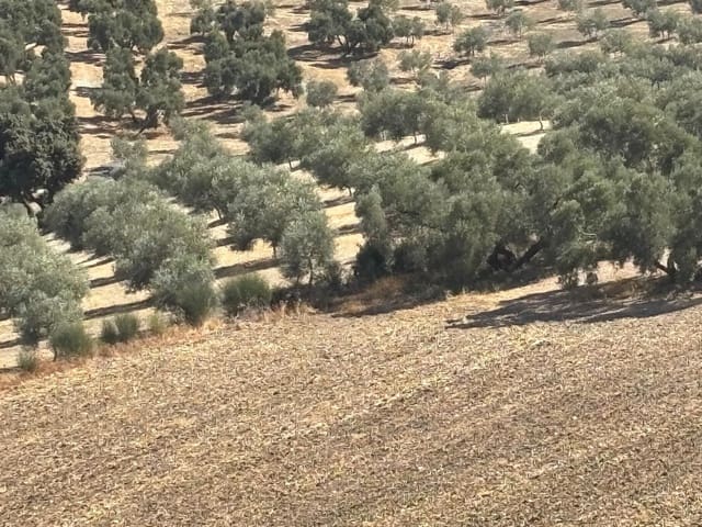 Ubebygd land til salgs i Antequera - € 1 290 000 (Ref: 10171569)
