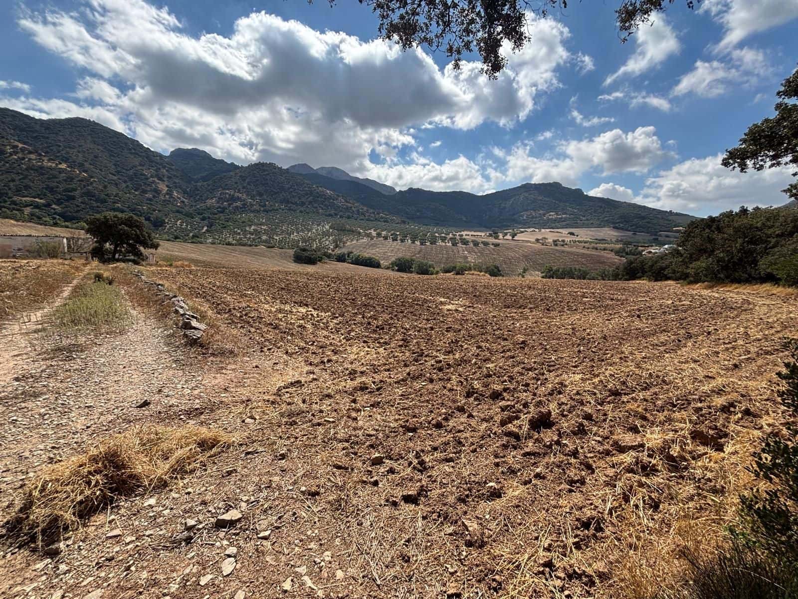 Ubebygd land til salgs i Antequera - € 1 290 000 (Ref: 10171569)