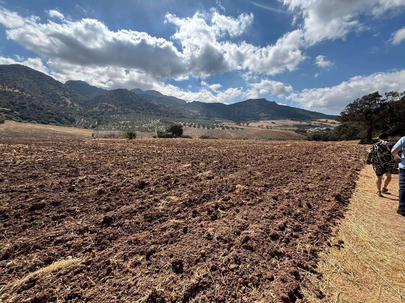 Ubebygd land til salgs i Antequera - € 1 290 000 (Ref: 10171569)
