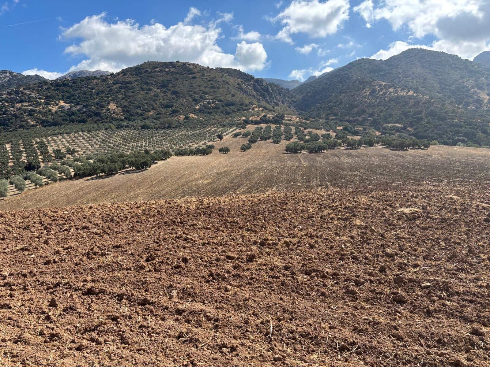 Ubebygd land til salgs i Antequera - € 1 290 000 (Ref: 10171569)