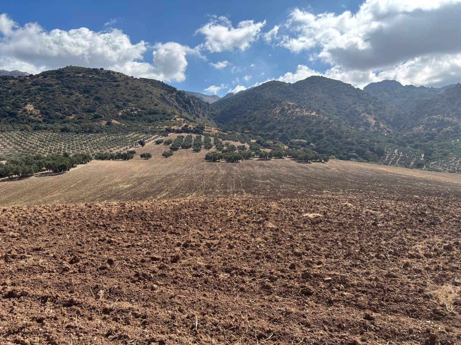 Ubebygd land til salgs i Antequera - € 1 290 000 (Ref: 10171569)