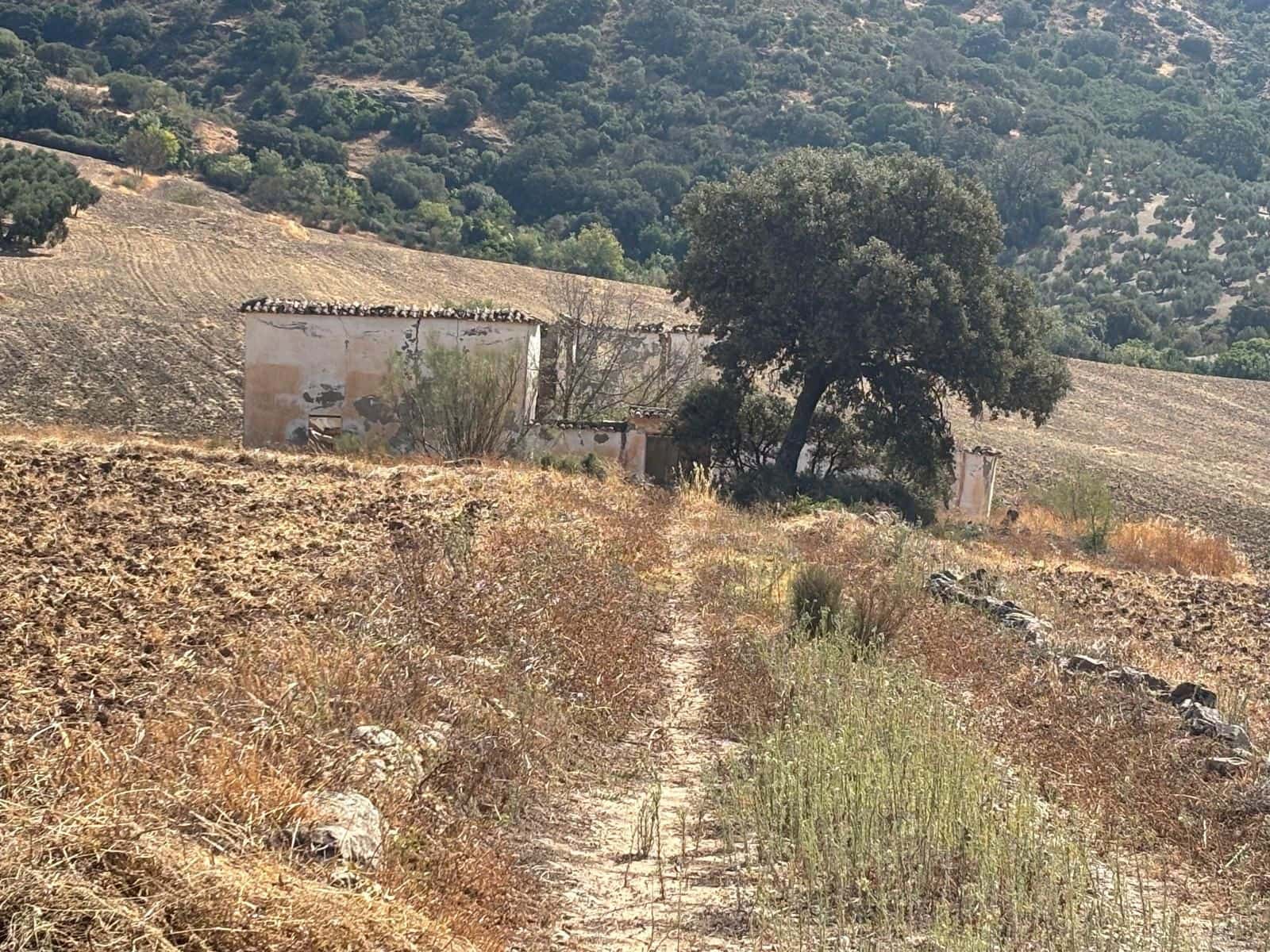 Ubebygd land til salgs i Antequera - € 1 290 000 (Ref: 10171569)