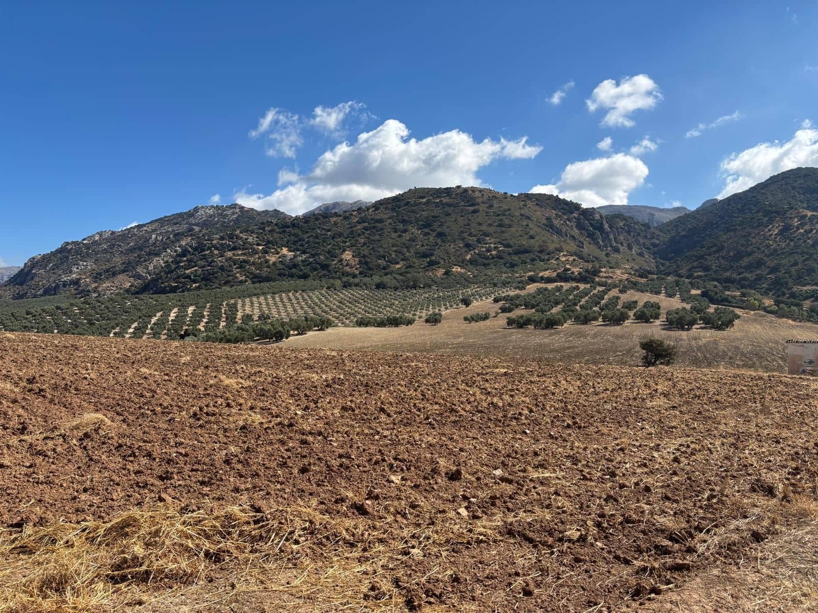 Ubebygd land til salgs i Antequera - € 1 290 000 (Ref: 10171569)