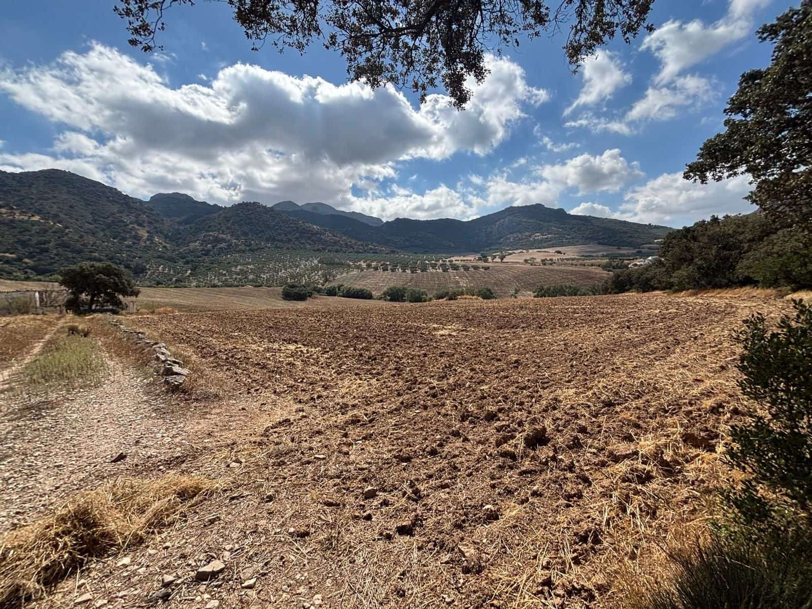 Ubebygd land til salgs i Antequera - € 1 290 000 (Ref: 10171569)